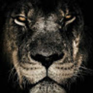 Meet your Posher, Christian